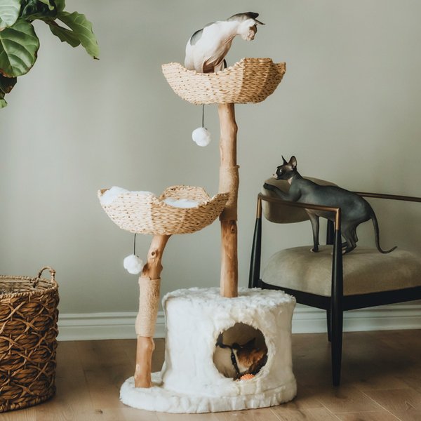 Mau Lifestyle Cento 46-in Modern Wooden Cat Tree and Condo