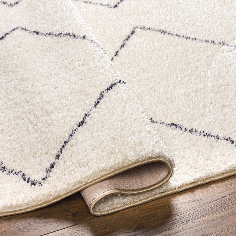 Aaliyah Global Washable Area Rug