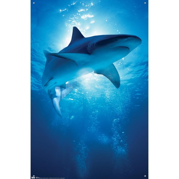 Trends International Shark Depths Unframed Wall Poster Prints