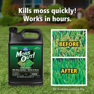 Moss Out! 1 Gal. Moss Out! Moss Killer for Lawns 100099156