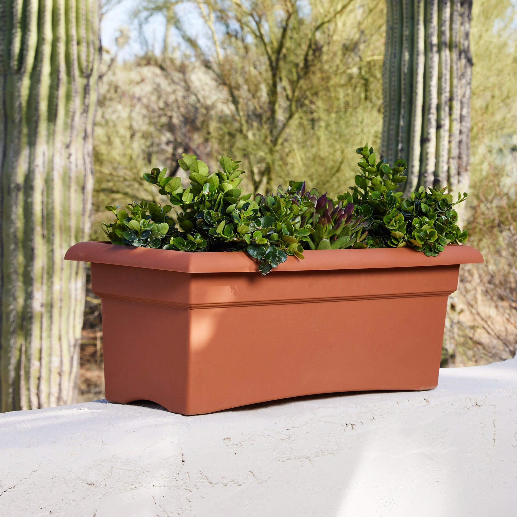 Bloem Veranda Rectangle Deck Box Planter: 26" - Terra Cotta