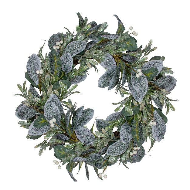 Northlight Iced Leaves And Winter Berries Artificial Christmas Wreath 24 Inch Unlit