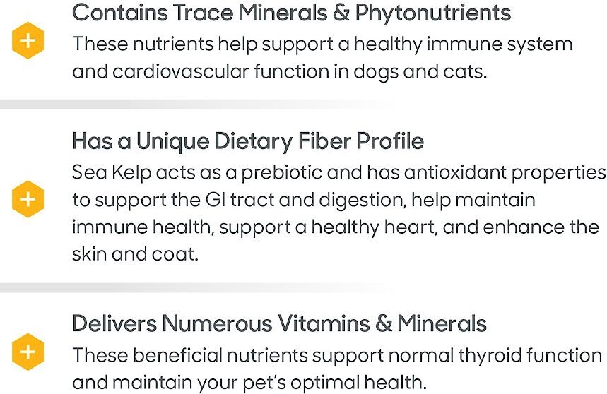 Thomas Labs C Kelp Organic Powder Dog and Cat Supplement