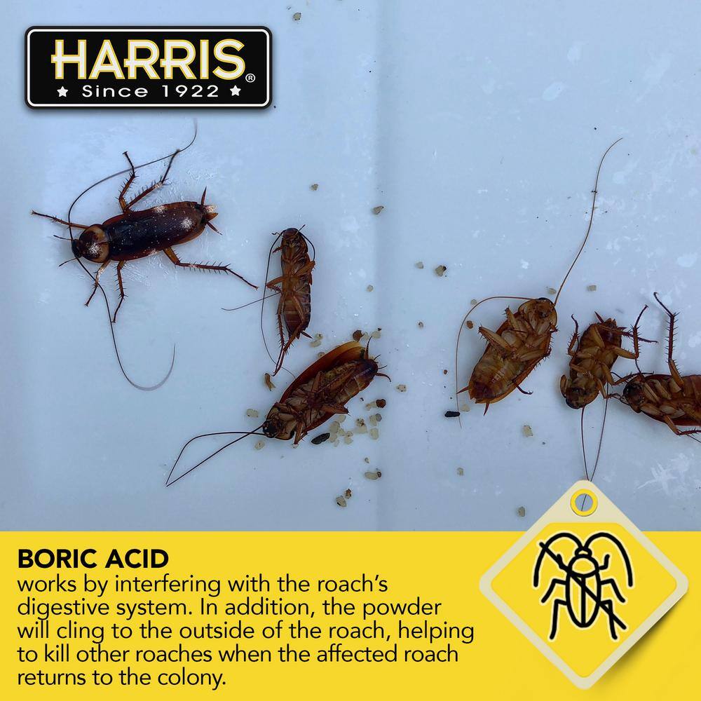 Harris 16 oz. Roach Powder (2-Pack) 2HRP16