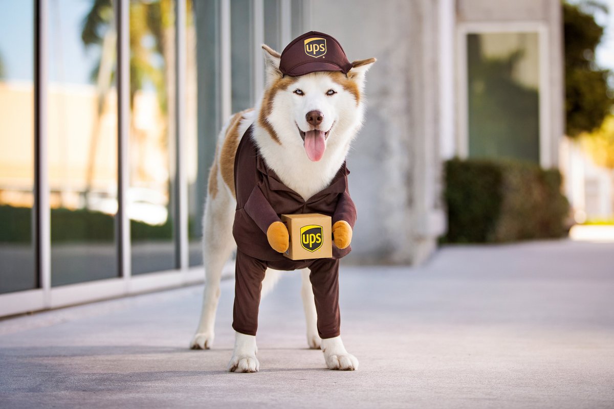 California Costumes UPS Delivery Driver Dog and Cat Costume