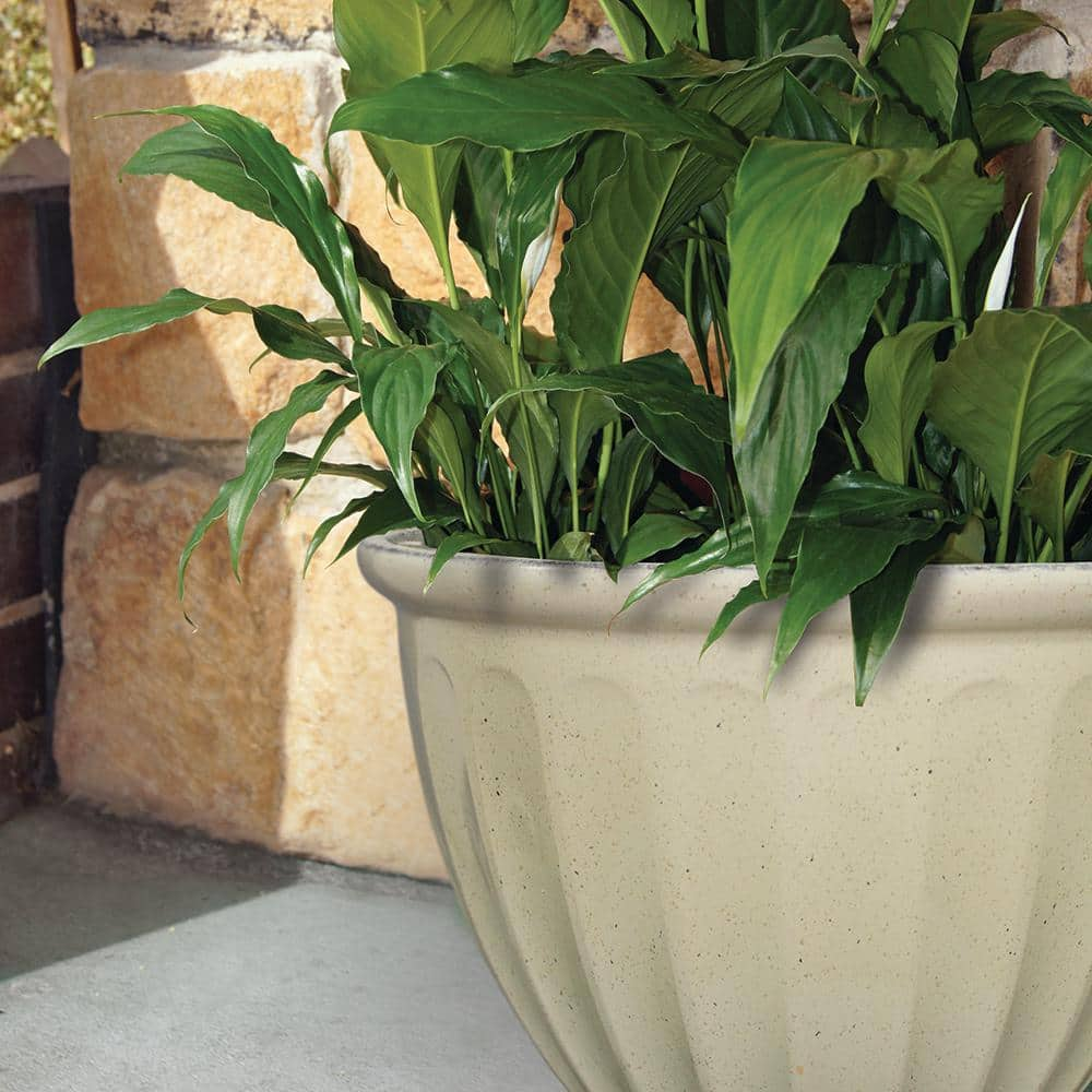 Southern Patio 15 in. Caylo Planter 19 in. Caylo Planter 16 in. Sydney Bowl Resin Composite Patio Pack (Pack of 3) HDP-046967PP