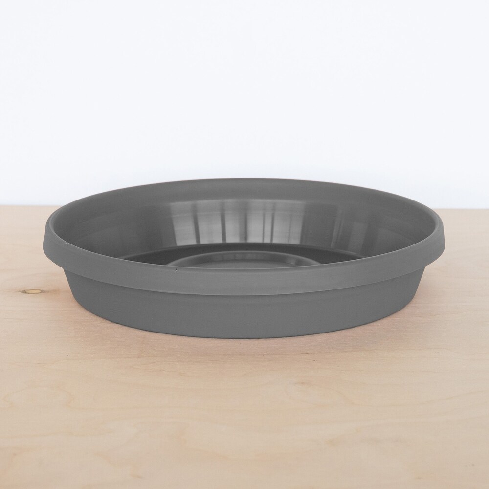 Bloem Terra Pot Round Drain Saucer: 14\