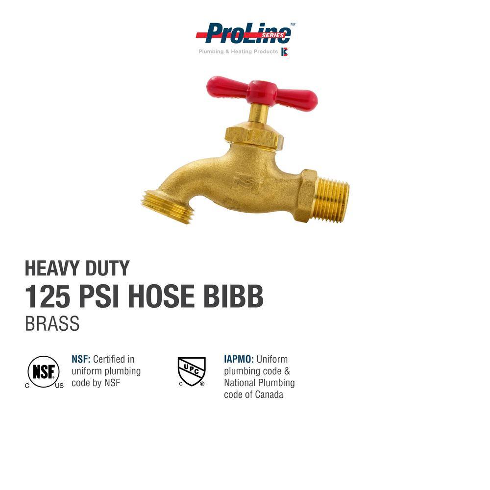 ProLine Series 12 in. x 34 in. Brass FPT x MHT Heavy-Duty Hose Bibb 103-013HN