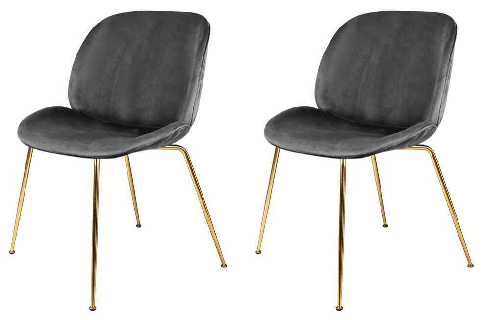 Dark Gray Velvet Shell Dining Chairs With Gold Legs  Set of 2   Midcentury   Dining Chairs   by specialty imports  Houzz