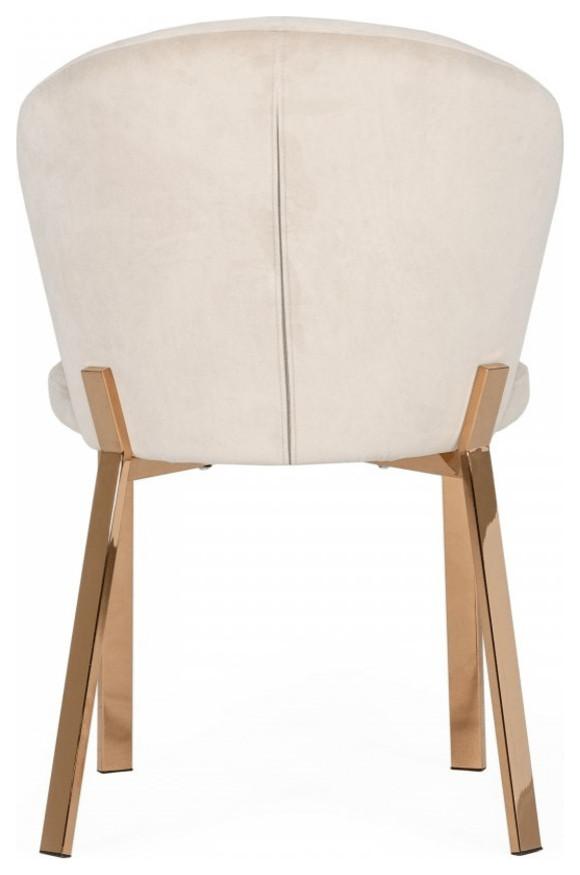 Beige Velvet Rosegold Dining Chair   Contemporary   Dining Chairs   by HomeRoots  Houzz