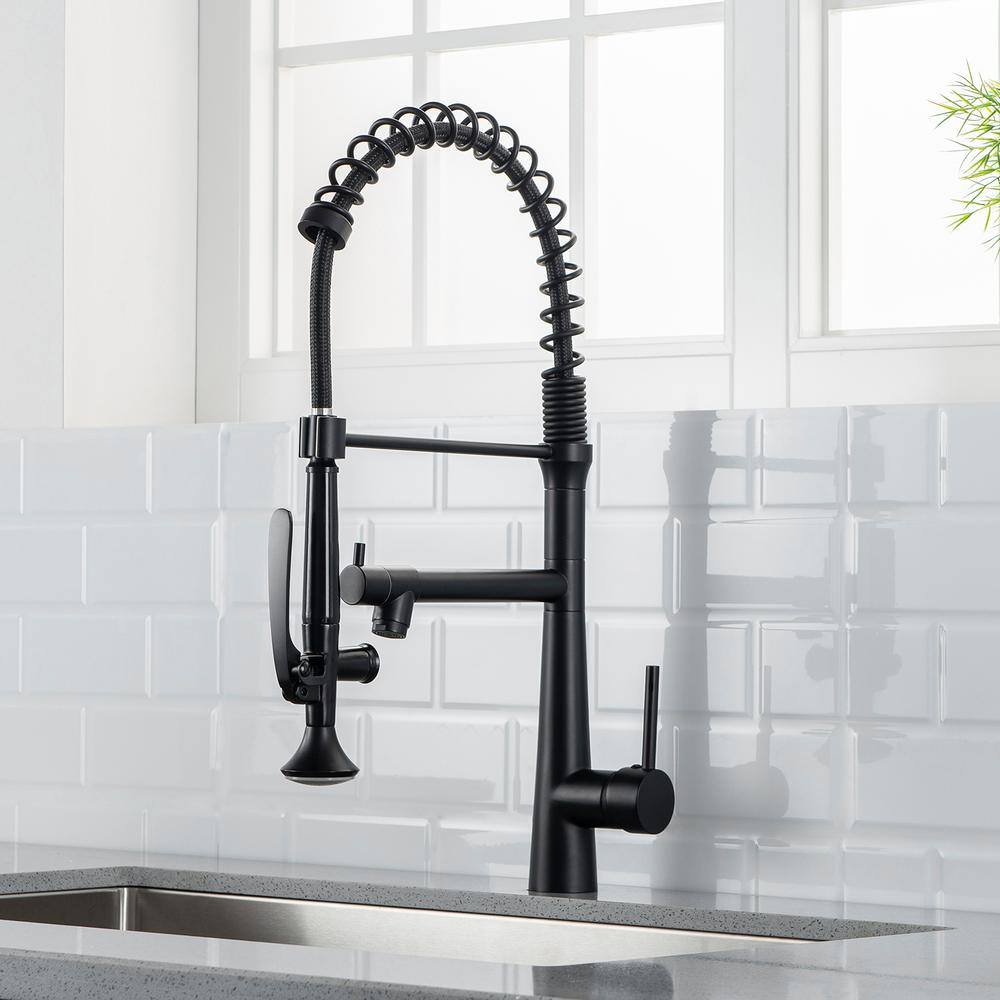 Boyel Living Single-Handle Gooseneck Pull-Down Sprayer Kitchen Faucet with Pot Filler and Water Supply Lines in Matte Black BM2010B