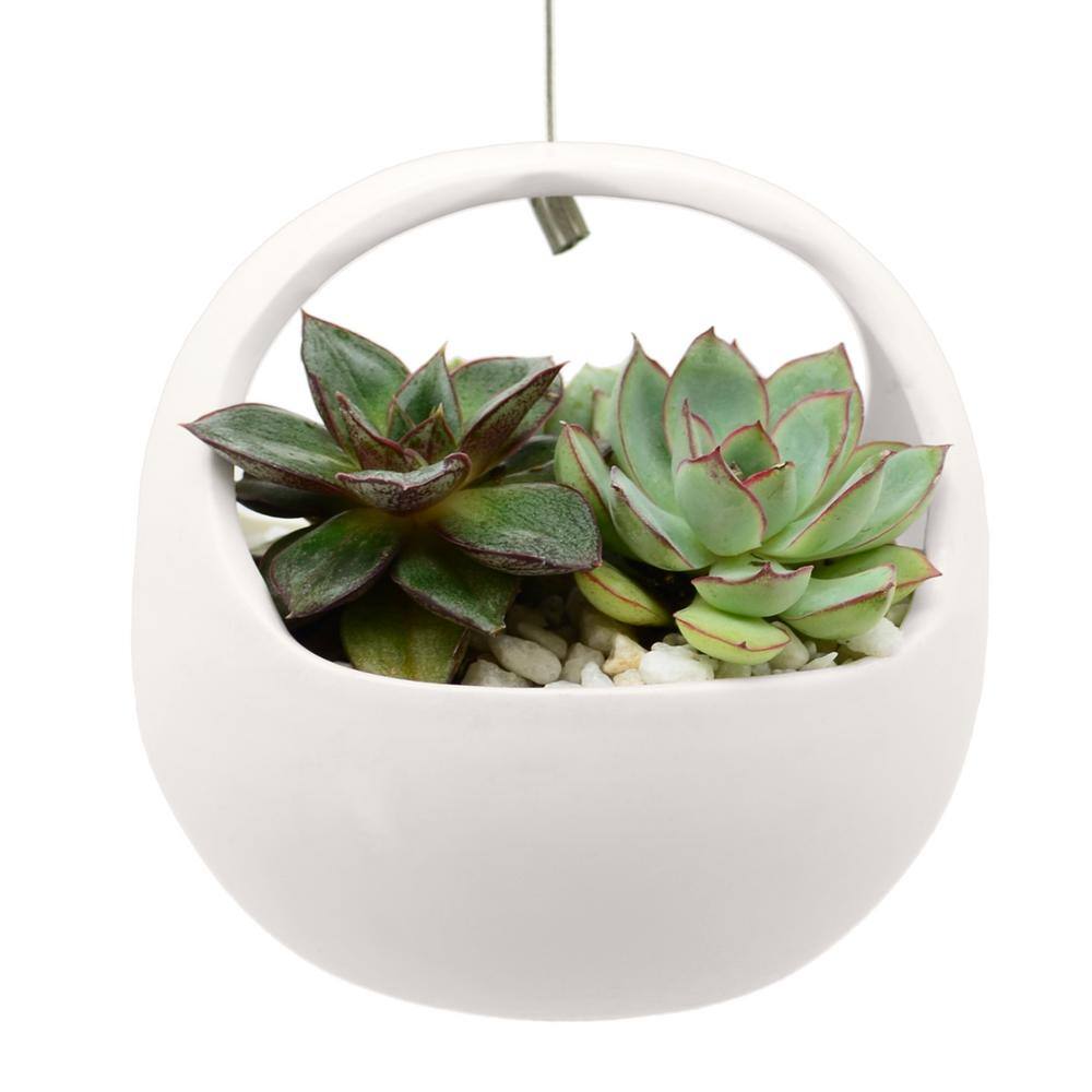 Arcadia Garden Products Basket 4-12 in. x 4-12 in. Matte White Ceramic Hanging Planter AP02W