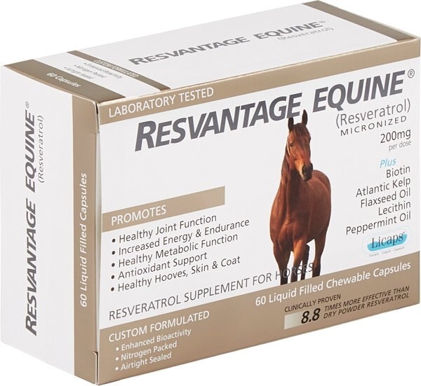 Resvantage Equine Daily Maintenance Comprehensive Capsule Horse Supplement， 60 count