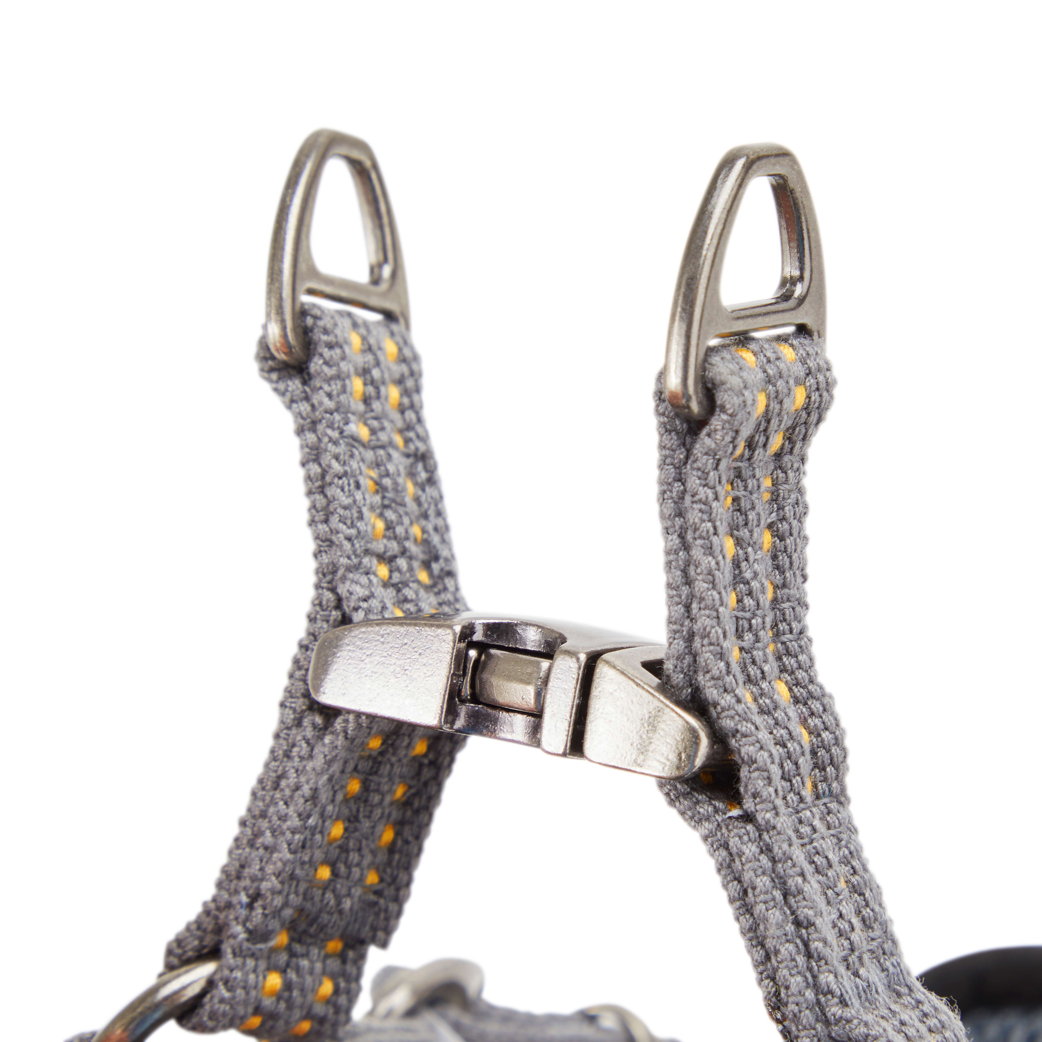 Reddy Yellow Small Dog Harness， Small