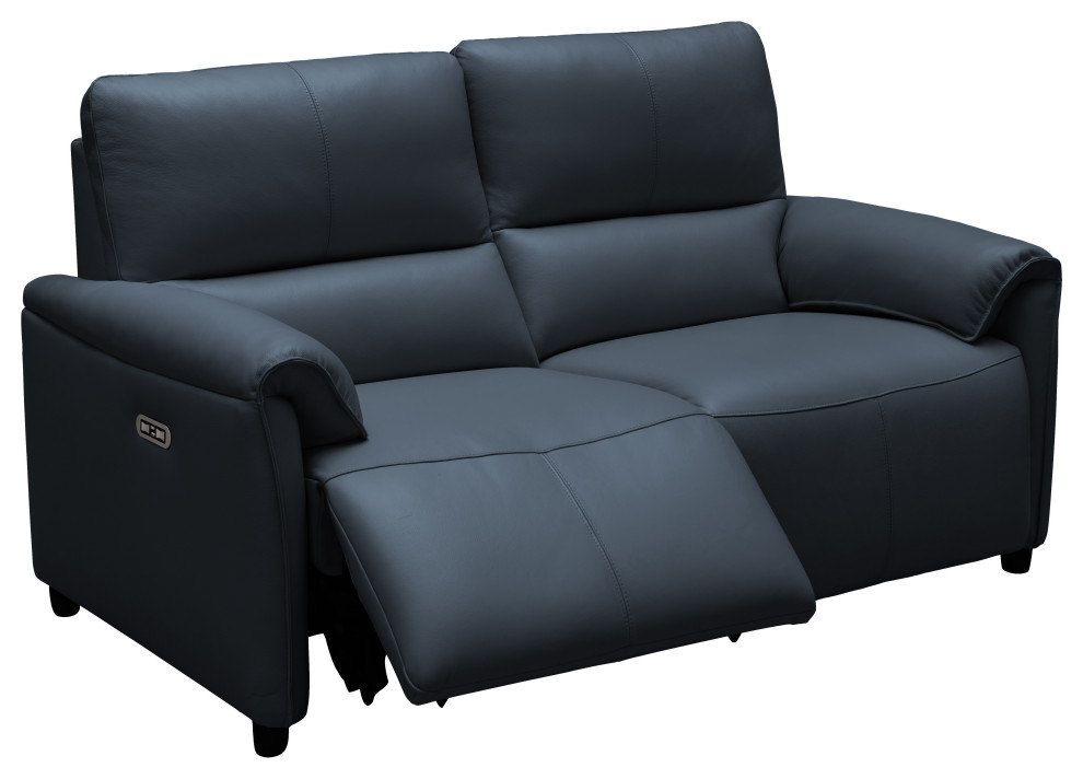 Lily Leather Power Reclining Loveseat With Power Headrests   Contemporary   Loveseats   by Abbyson Living  Houzz