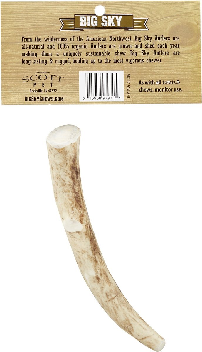 Big Sky Antler Chews Natural Elk Antler Dog Chews， Medium