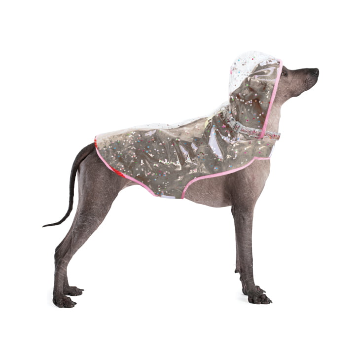 Packed Party Raincoat for Dogs， Confetti， M