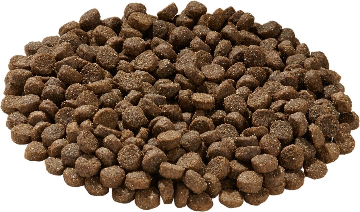 Health Extension Lamb and Brown Rice Dry Dog Food