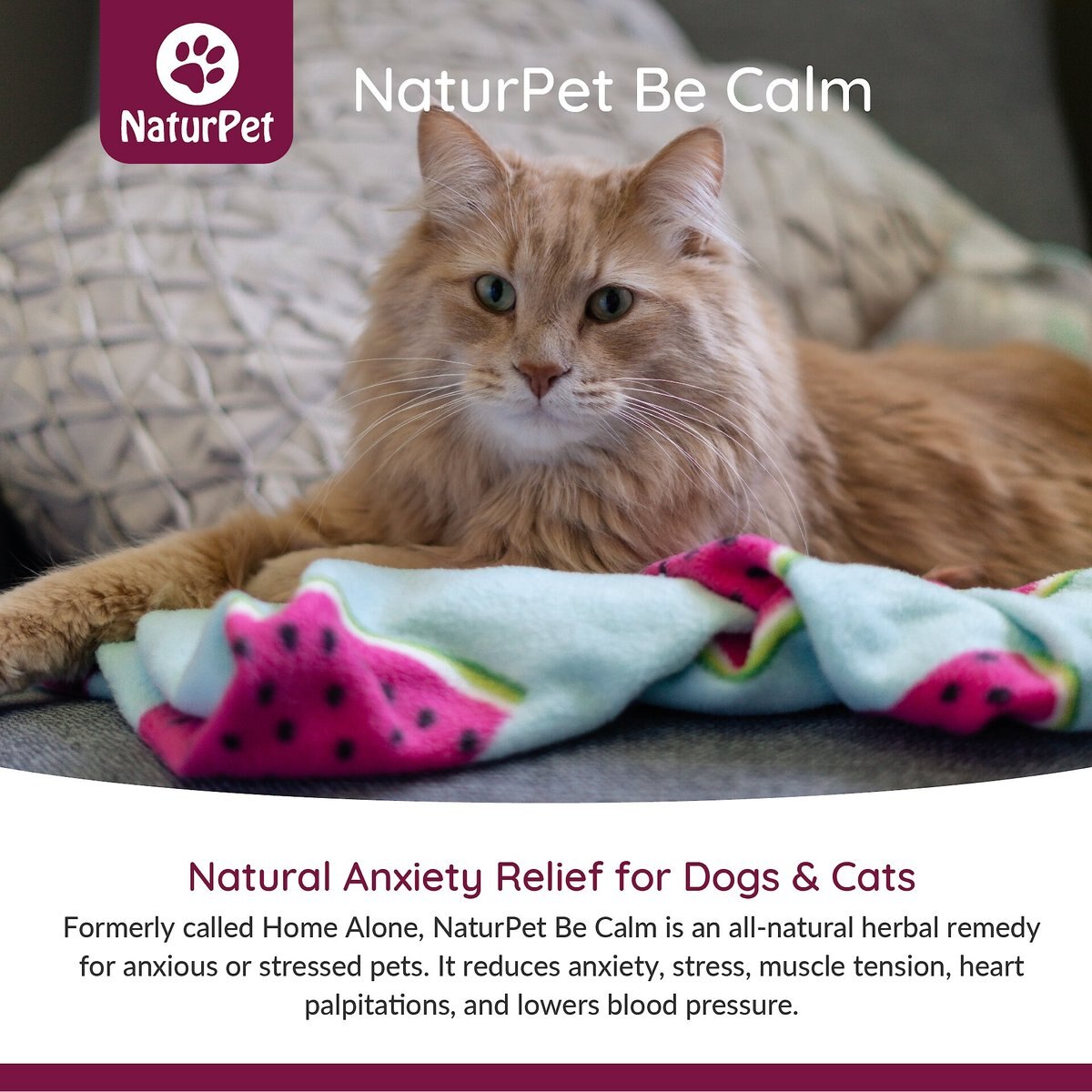 NaturPet Be Calm Pet Supplement