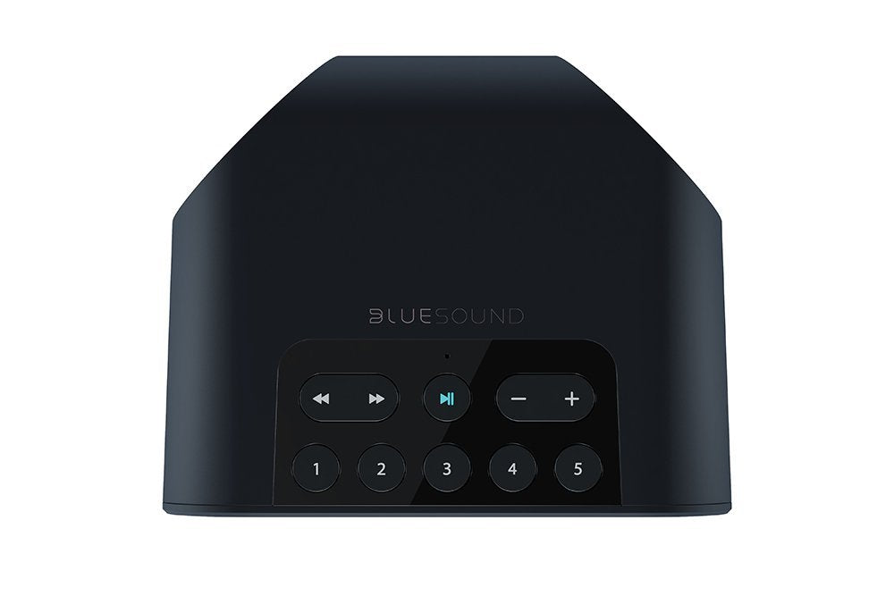 Bluesound PULSE FLEX Portable Wireless MultiRoom Smart Speaker with B