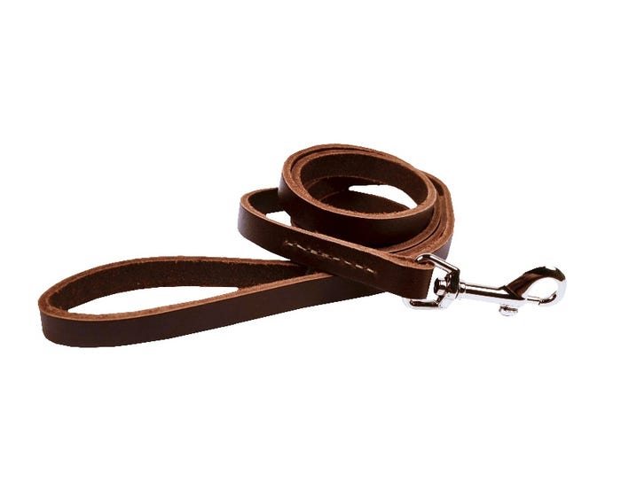 Scott Pet 6 Leather Training Lead， Brown - 516572