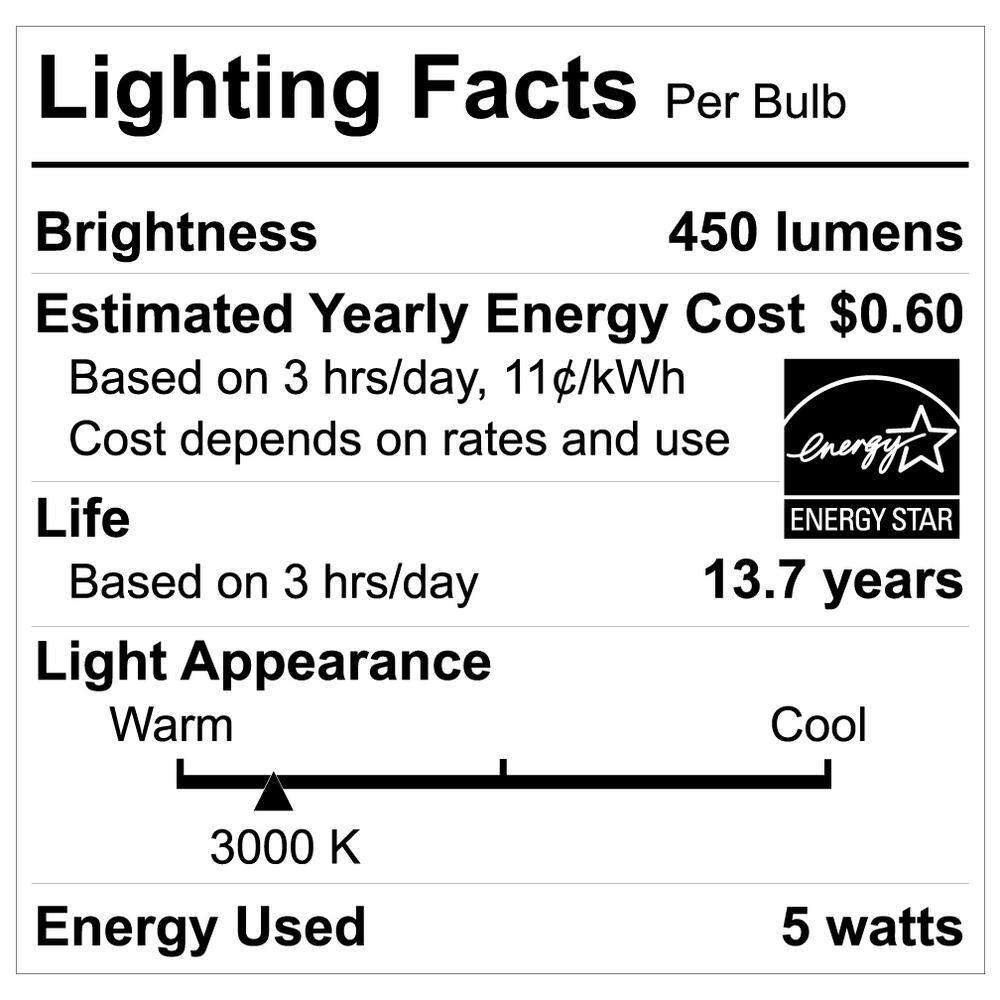 EcoSmart 40-Watt Equivalent A15 Dimmable ENERGY STAR Frosted Glass Filament Vintage Edison LED Light Bulb Bright White (3-Pack) FG-03221