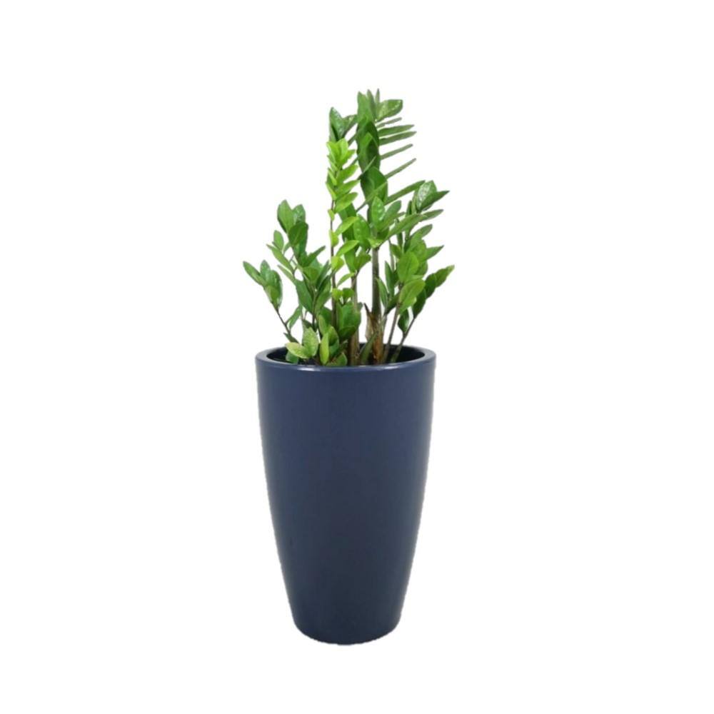 Rain Forest 35 in. Tall Cobalt Blue Verona Plastic Planter R.0200.052.090.104