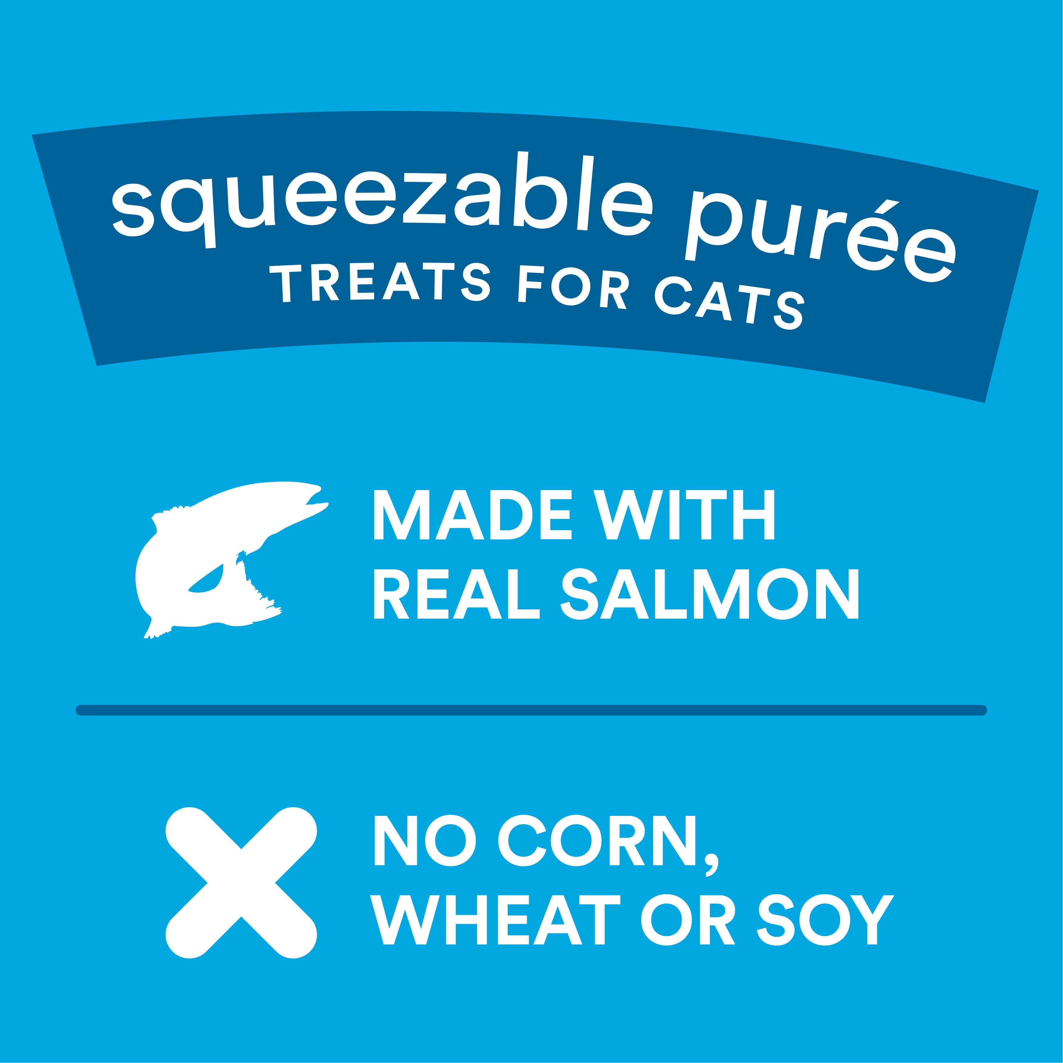 Whole Hearted Salmon Recipe Squeezable Puree Cat Treats， 0.5 oz.， Count of 4