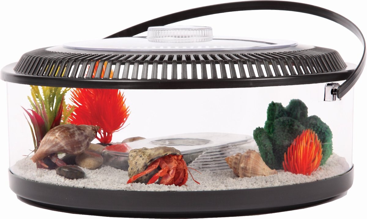 Koller Products Hermit Crab Carrier