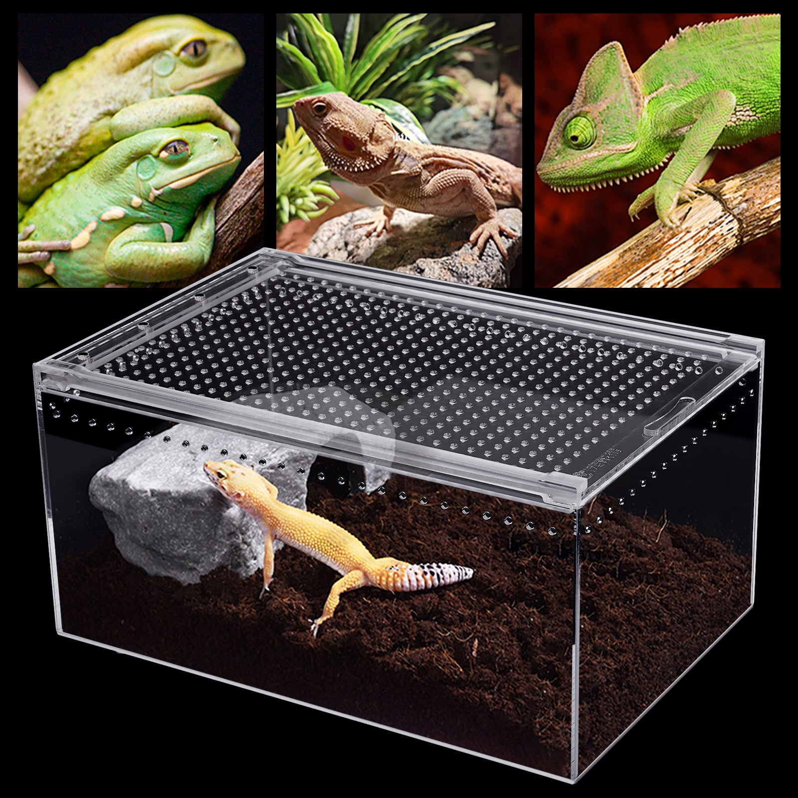 Reptile Feeding Box Snake Breeding Box Transparent Animal Habitat Cage Portable Plastic Turtle Transport Container for Bearded Dragon Lizard Spider Frog Scorpion Gecko