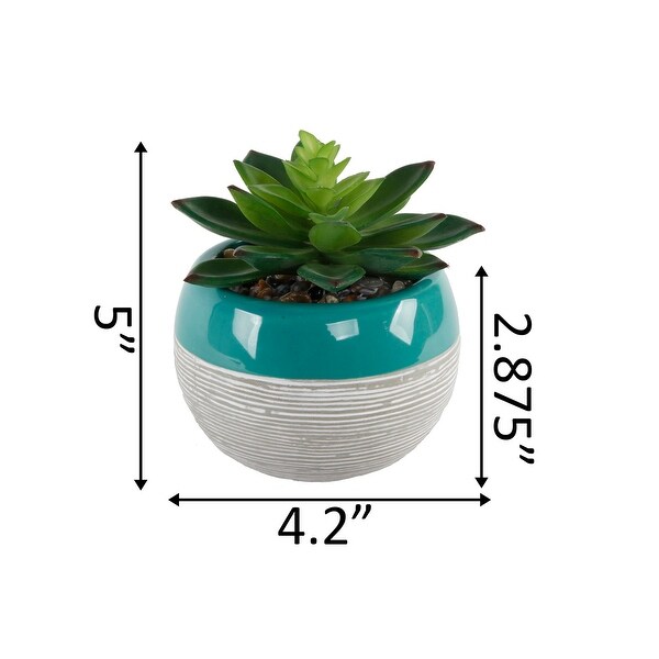 Succulent in Two tone lines pattern ceramic pot ，Teal