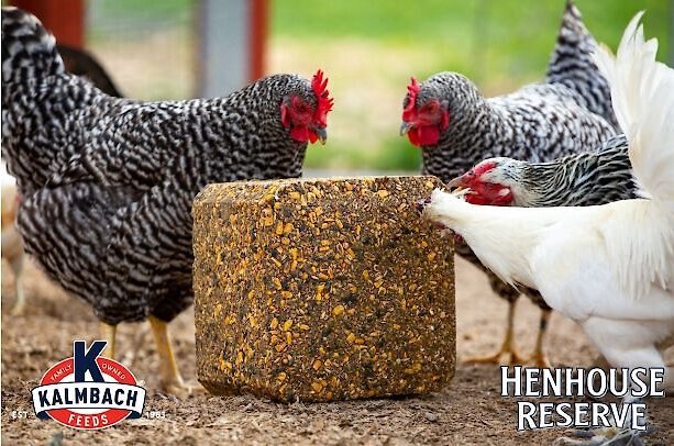 Kalmbach Feeds Henhouse Reserve Poultry Supplement， 20-lb block