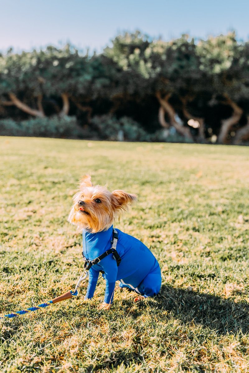 Shed Defender Original Dog Onesie