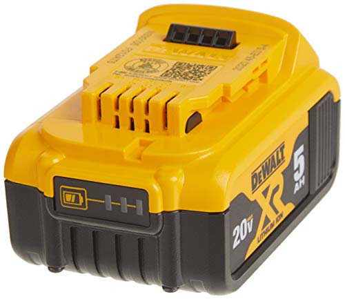 DEWALT 20V MAX XR Hammer Drill Kit， Brushless， 3-Speed (DCD996P2)