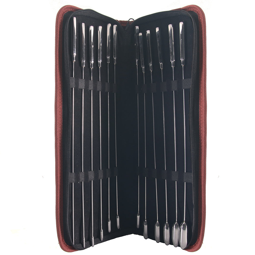 Stainless Steel 12 Pc. Rose Bud Sounding Set