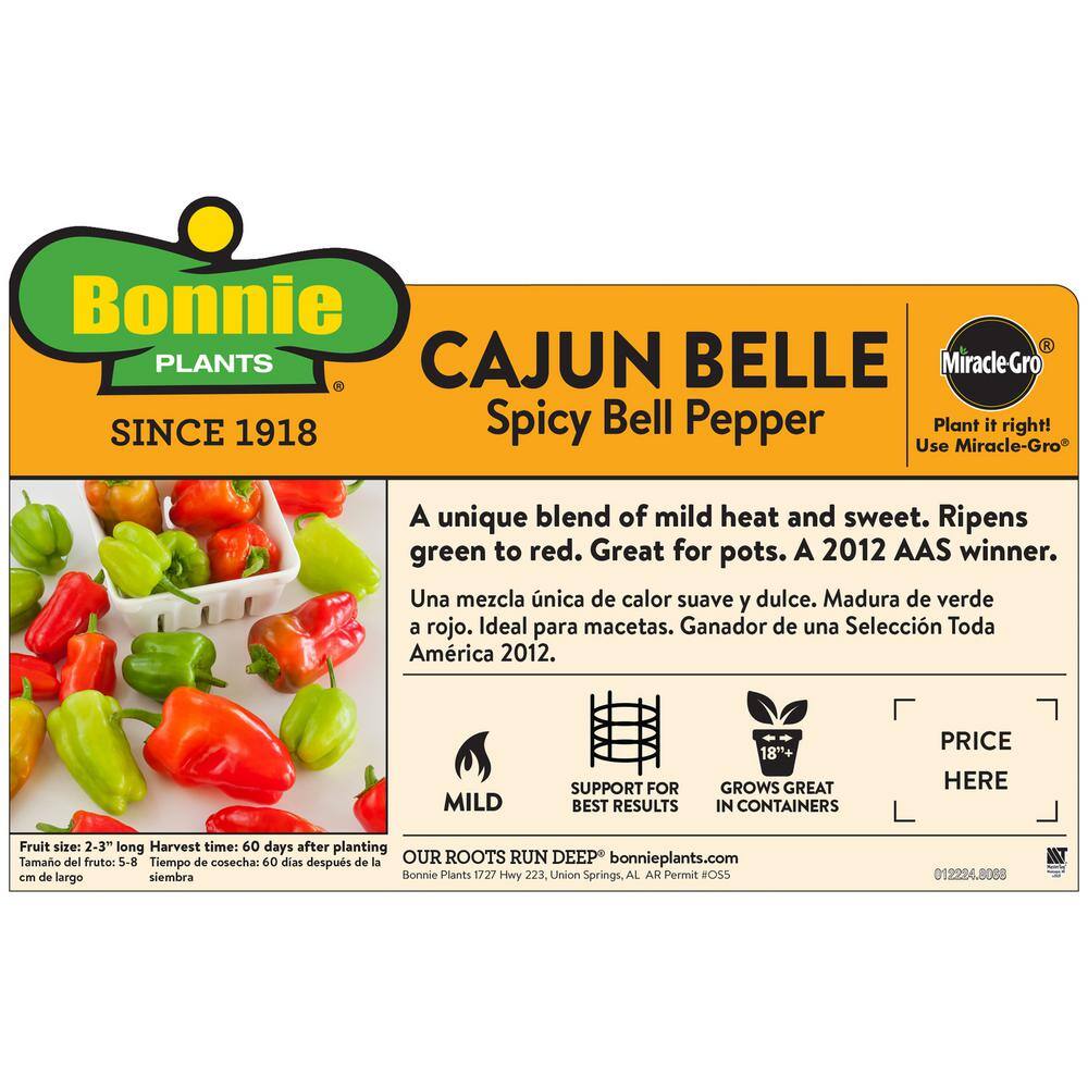 Bonnie Plants 19 oz. Cajun Belle Pepper Plant 2103