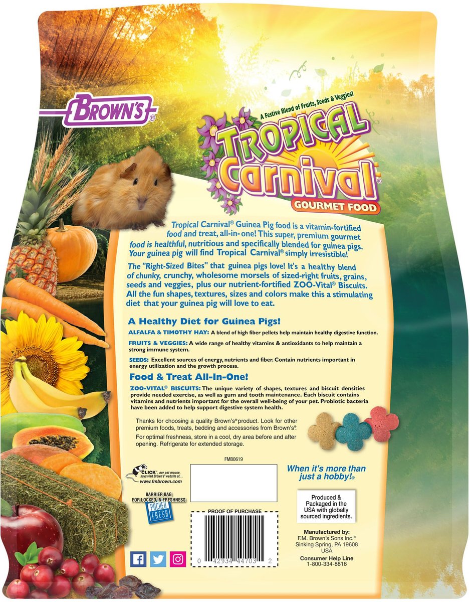 Brown's Tropical Carnival Gourmet Guinea Pig Food