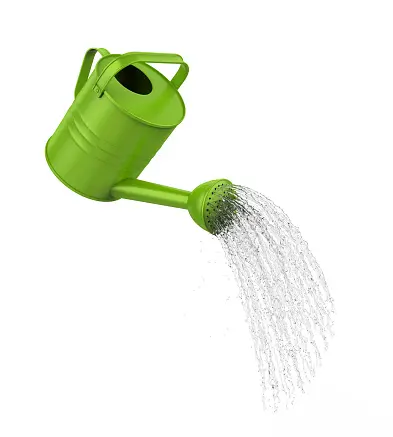 Wholesale Customized High Quality Stainless Steel Watering Can With Long Spout Water Cans For Outdoor Garden