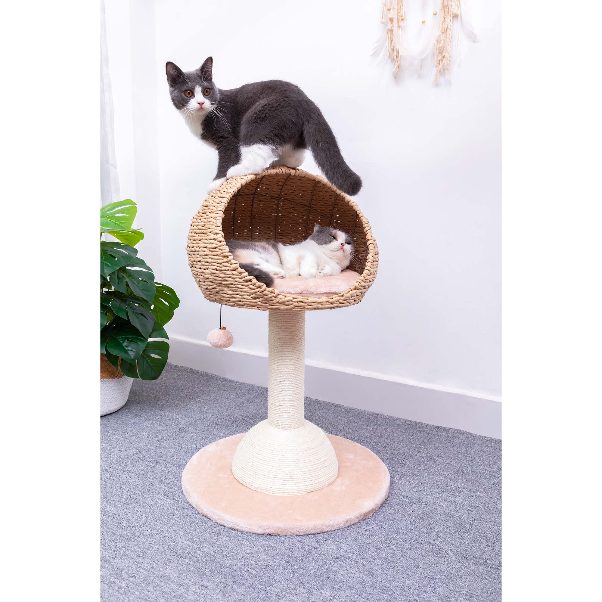 PetPals Group Lookout Eco-Friendly Boho Cat Perch with Natural Sisal Scratching Post， 29