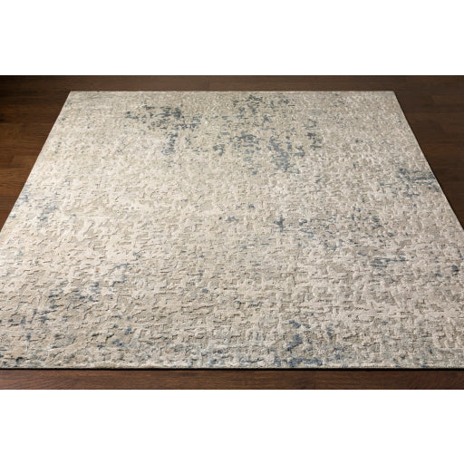 Resham Silk Light Gray Rug