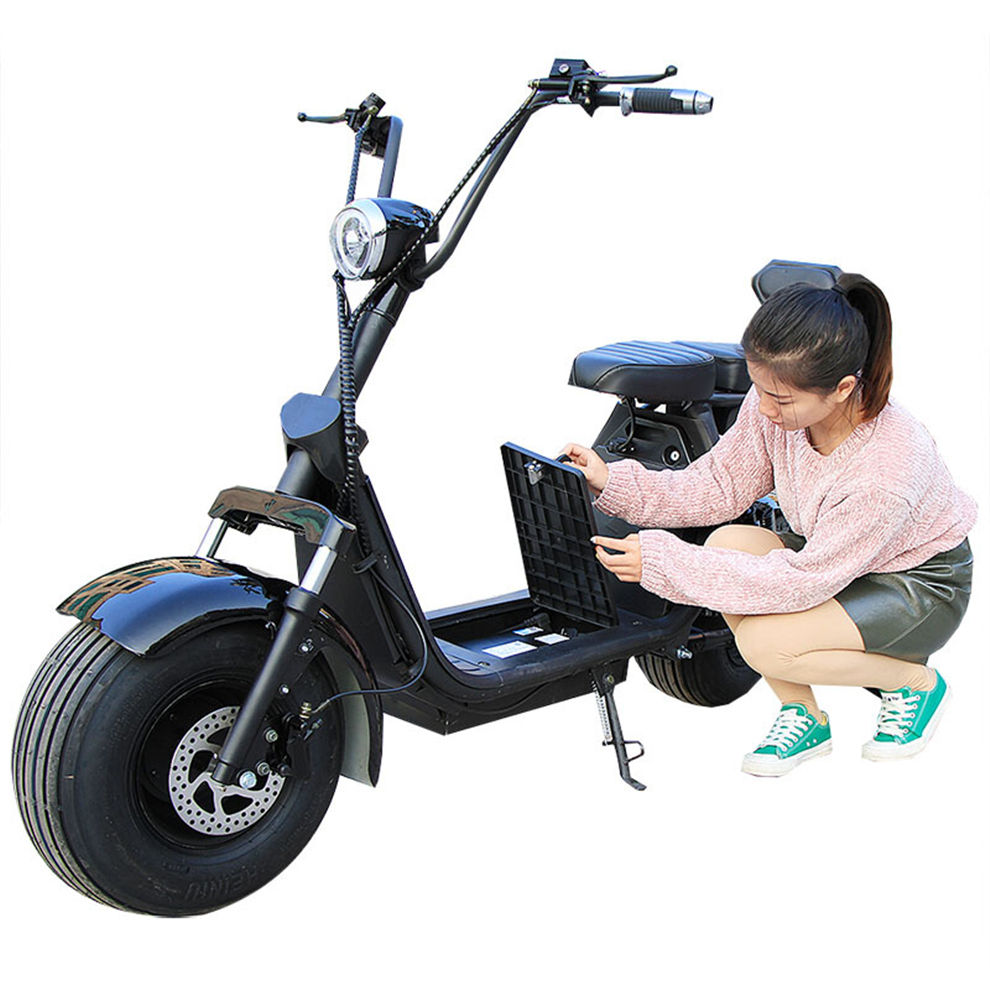 2023 NEW Arrival Disc Brake Electric Scooters For Men Steel Frame EEC Citycoco 2 Seat Mobility 2000W Off Road Electric Bike