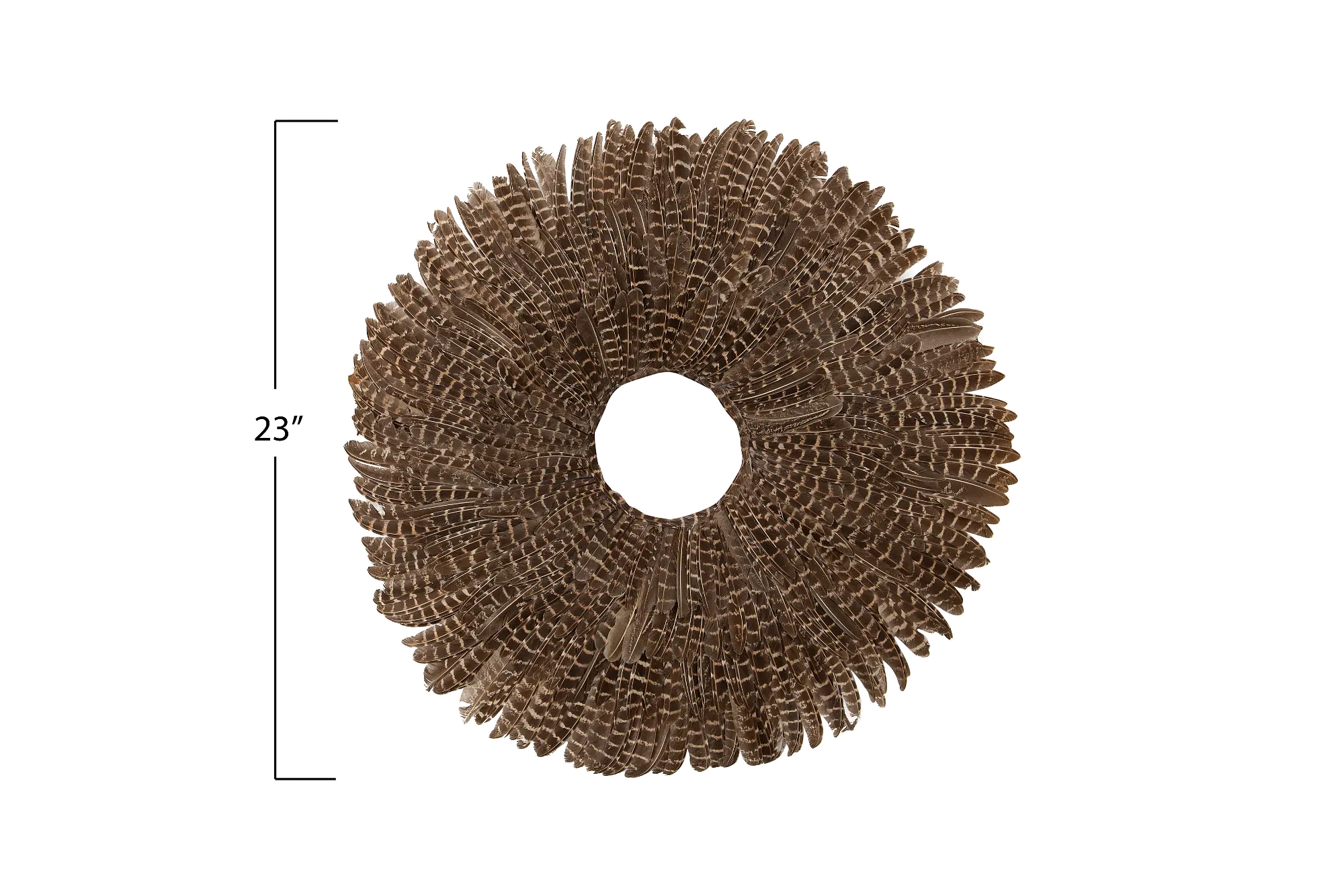 Assorted 23 Inch Round Feather Wall Decor