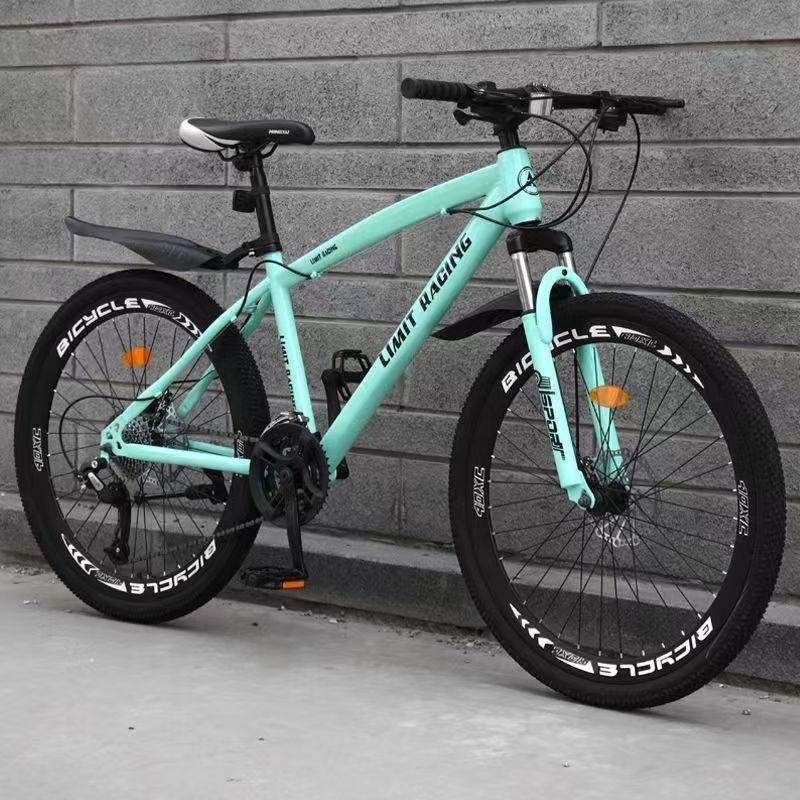 TOP sale vietnam supplier High quality Wholesale 21 speed customized cheap adult mountain bike 26/27/5/29 bicycle