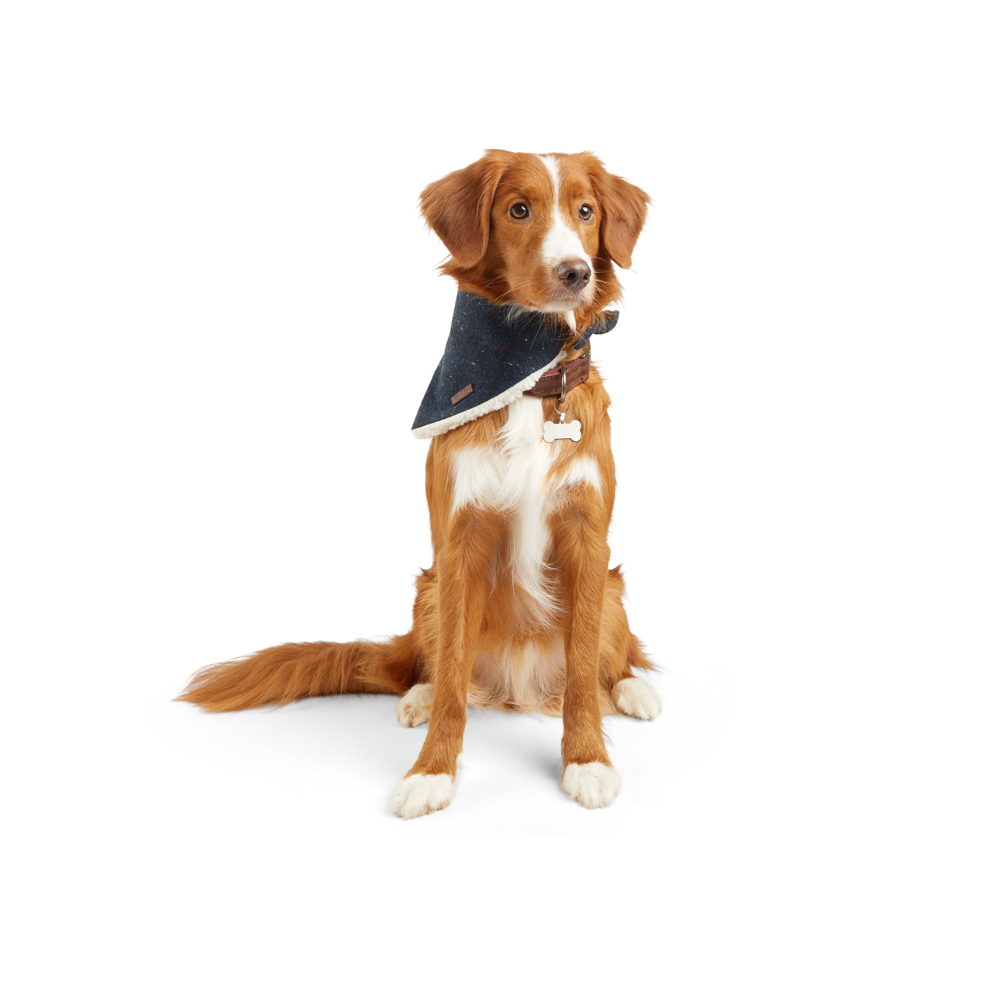 Reddy Navy Tweed Dog Bandana， X-Small/Small