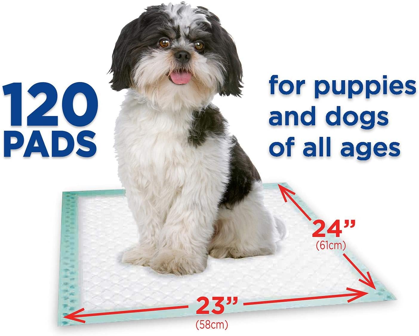 Member's Mark Pet Training Pads， 23