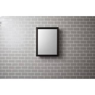 KOHLER 20 in. x 26 in H. Recessed or Surface Mount Mirrored Medicine Cabinet in Oil Rubbed Bronze 2967-BR1