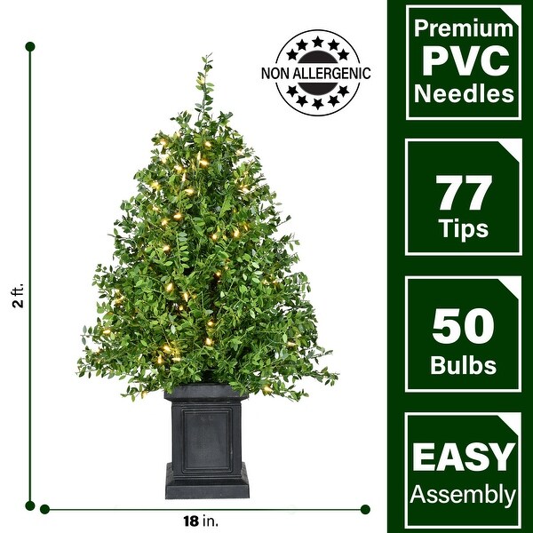 Fraser Hill Farm 2Ft. Boxwood Porch Tree in Black Pot with Warm White Lights，Set of 2