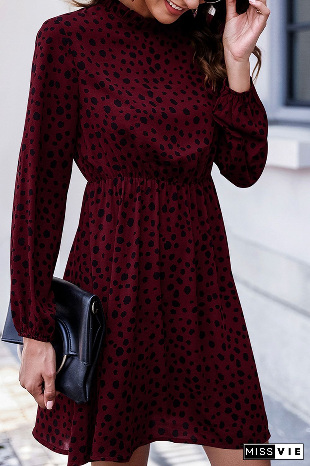 Leopard Print High Waist Swing Dress