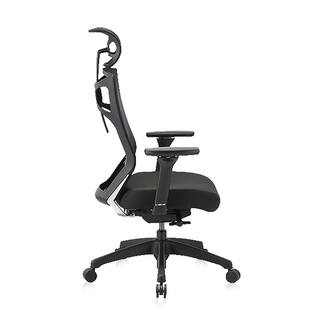 Furniture of America Caius Regular Black Breathable Mesh Ergonomic Office Chair with Adjustable Lumbar IDF-60393