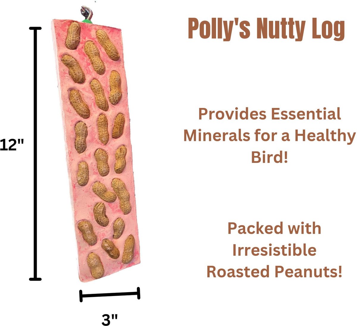 Polly's Pet Products Nutty Log Cactus Snack Bird Chew Toy